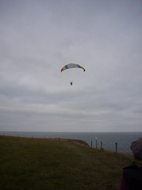 Travel - New Zealand - Kaikoura Again
